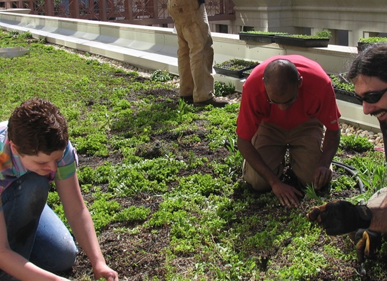 Web-Hero-Sustainability.jpg