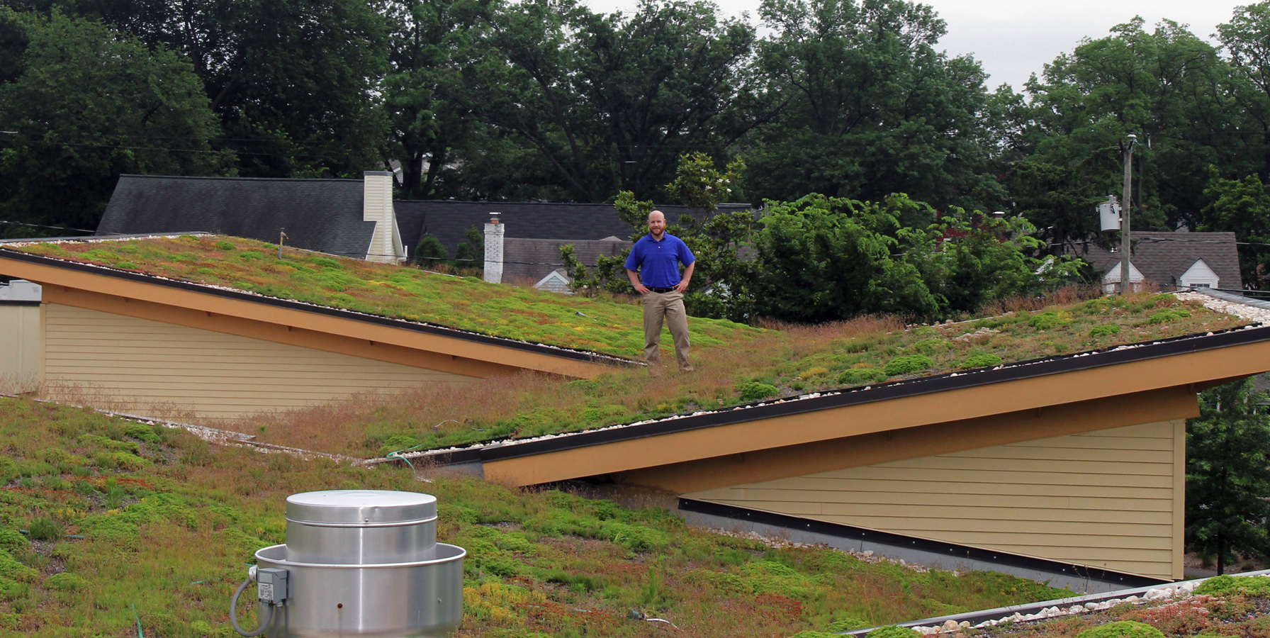 green-roof-slider.jpg